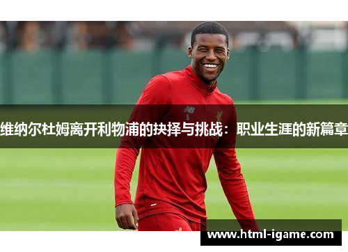 维纳尔杜姆离开利物浦的抉择与挑战：职业生涯的新篇章