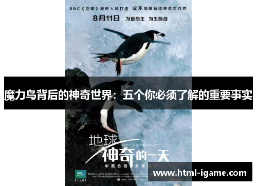 魔力鸟背后的神奇世界：五个你必须了解的重要事实