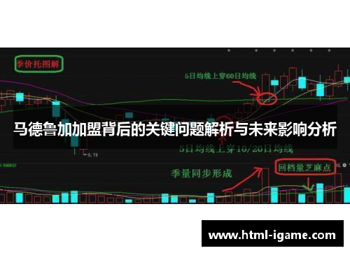 马德鲁加加盟背后的关键问题解析与未来影响分析